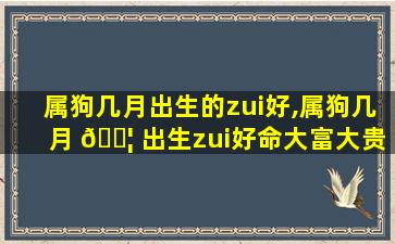 属狗几月出生的zui
好,属狗几月 🐦 出生zui
好命大富大贵